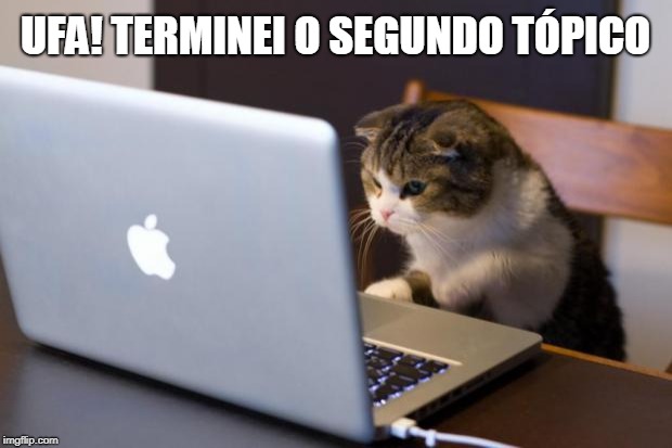 Finalizando o tópico 2